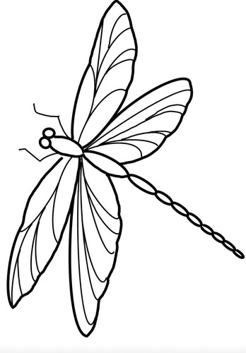 Dragonfly vinyl decal - vinyl,