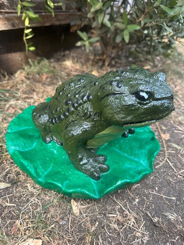 Vintage frog lily - on, pad