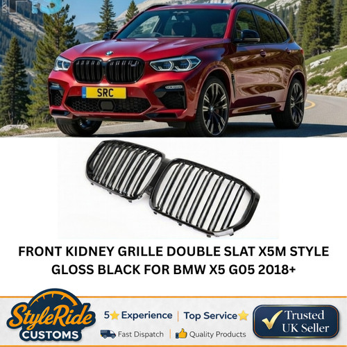 Front kidney grille double - front,