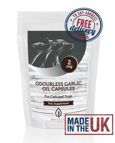Odourless garlic oil 2mg - garlic, for