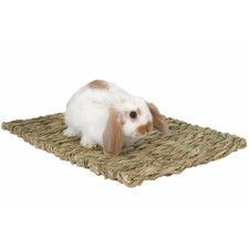  2 Pcs Large Size Rabbit Chew