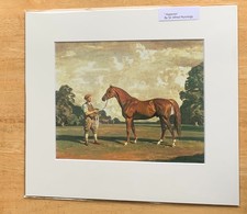 SIR ALFRED MUNNINGS. `Hyperion`; MOUNTED HORSE RACING PRINT. ART.