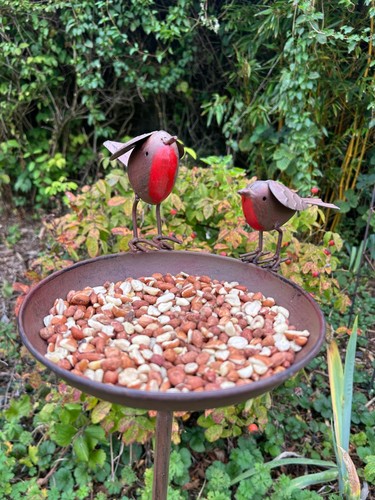 Rustic robin birdbath - robin,