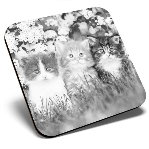 Square single coaster - coaster,
