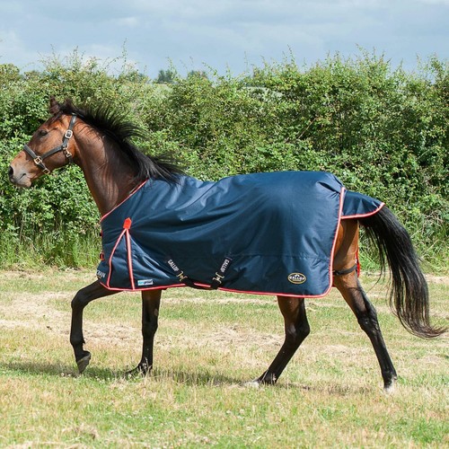 Gallop trojan ponie - trojan, /