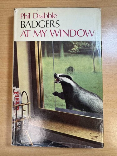 Badgers window by phil - at,