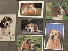 75 Dog Postcards Job Lot –