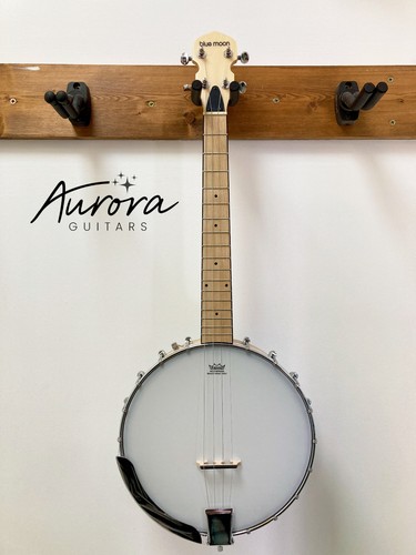 Blue moon tenor banjo bag - banjo,