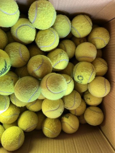 Used tennis balls - 30,
