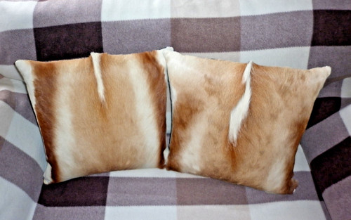 Pair genuine springbok hide - genuine,