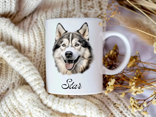 Alaskan malamute dog - malamute,