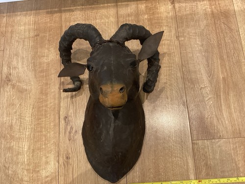 Leather vintage ram deer - vintage,