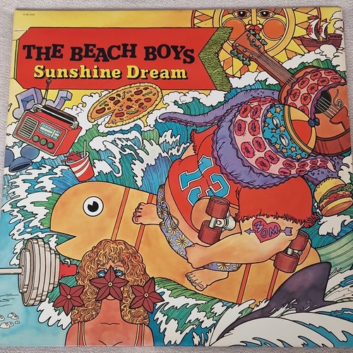 The beach boys - sunshine, dream