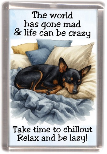 English toy terrier - toy, fridge