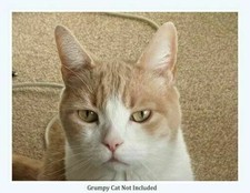 Wentworth Wooden 140 Pieces Jigsaw - Rex Whistler mural from the Dining Room