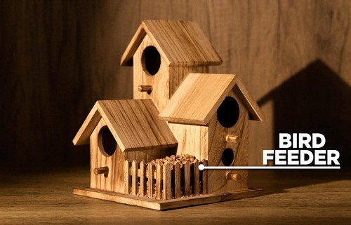 Wild bird nesting - 3, 1