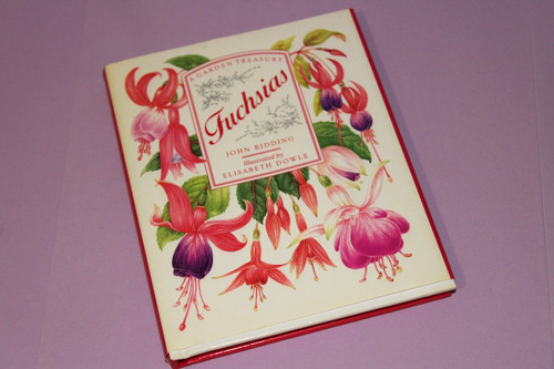 Fuchsias book flowers drawing - fuchsias,