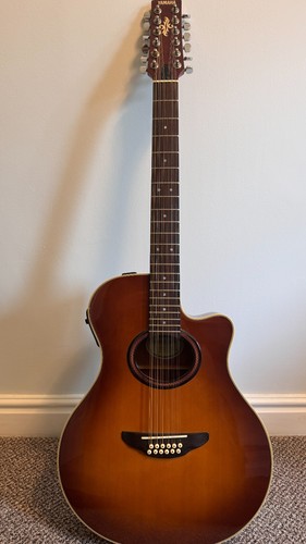 Yamaha apx 12a - apx-5-12a, string