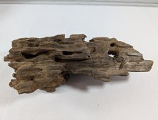 Natural Dragon Driftwood Wood
