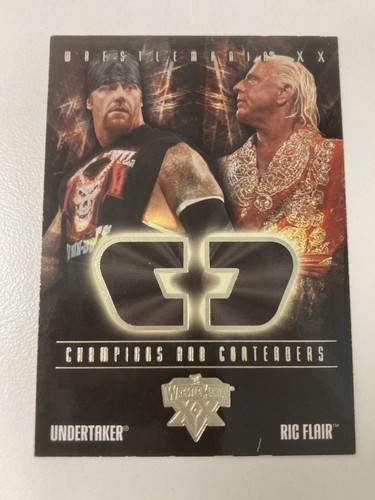 Undertaker ric flair - v, 2004