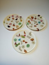Vintage Lucite Embedded