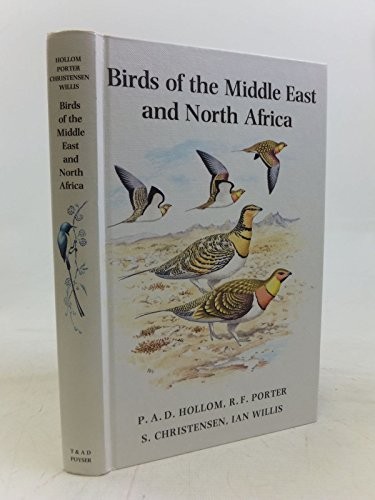 Birds the middle - birds,