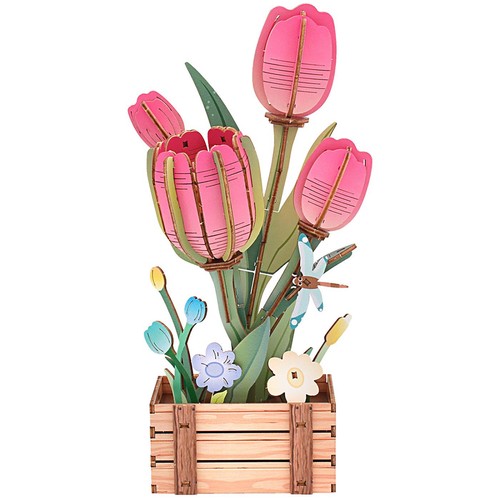Lesser pavey woodcraft tulip - &,