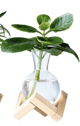Propagation vase wooden - propagation, w/wooden