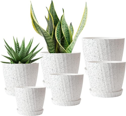 Plant pots indoor 6pack - plant,