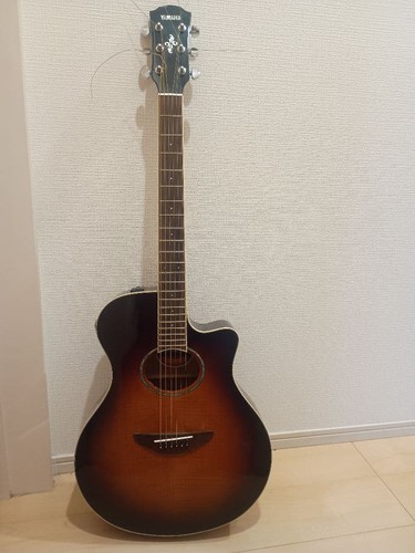 Yamaha apx600 electro - yamaha,