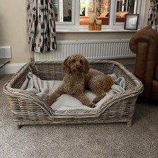 Large wicker dog bed Grey