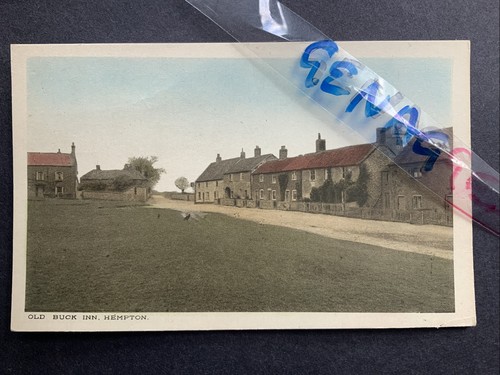 Norfolk hempton old buck - buck, &
