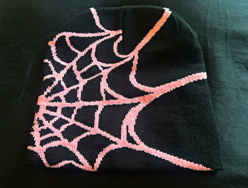 Black pink spider - spider, web