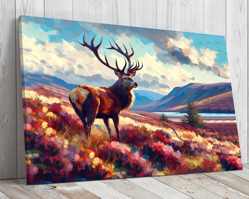Scottish stag the - stag, in