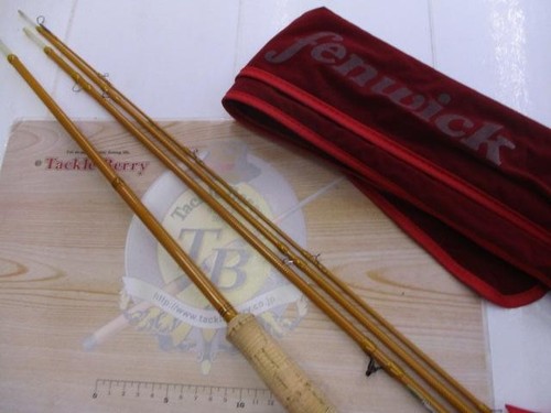 Fenwick fly rod - rod, grass