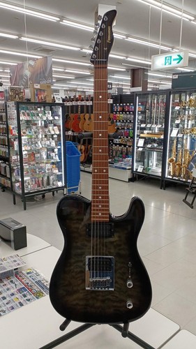 Fernandes ftr 380 electric - ftr-380,