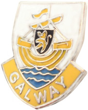 County Galway Small Pin Badge
