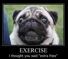 Funny Pug  dog refrigerator