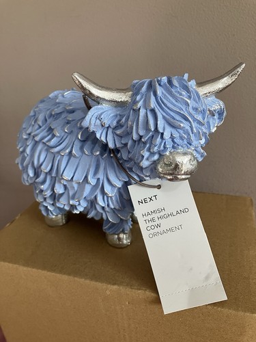 Bnwt next blue - next, hamish