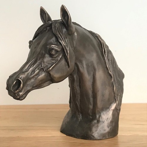 Bronze arab horse head - arab,