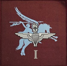 1st Battalion the Parachute