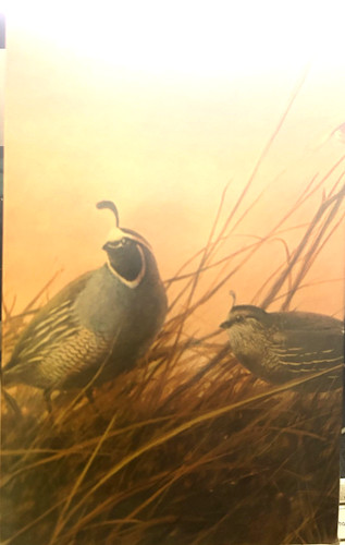 Vintage avon quail decanter - avon,