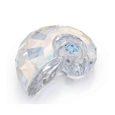 SCS 2025 Nautilus Shell -