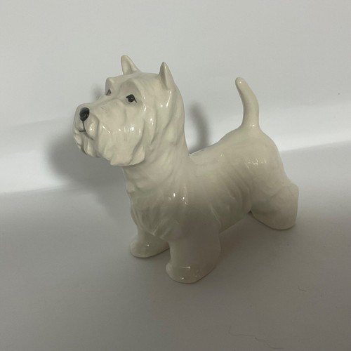 West highland terrier - west,