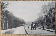 Woolwich Bostall Woods, Horse Drawn Cart in Road, Greenwich London Postcard 1914