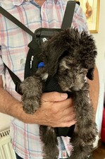 Pawaboo Pet Carrier Backpack, Adjustable Pet Front/Back Dog Bag. Black Size S