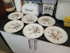 6 x Royal Doulton Wild Cherry