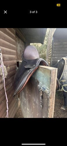 Saddle - “,