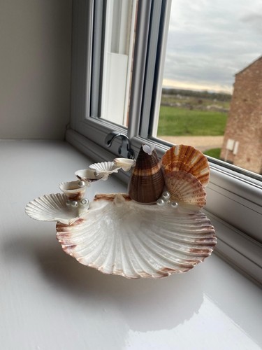 Beautiful handmade shell - beautiful,