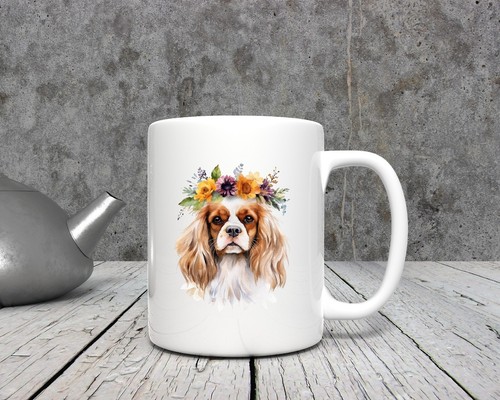 Cavalier king charles - cavalier,